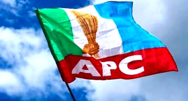 APC Logo